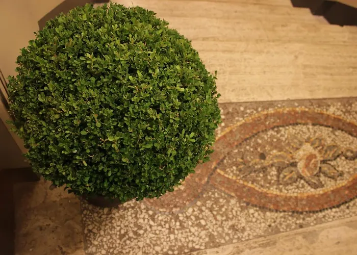 Гостевой дом Millina In Navona 4*